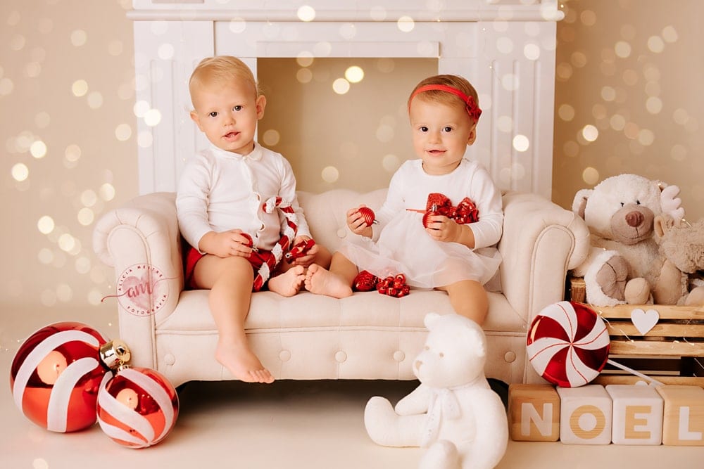 Web alicia mestre s twins